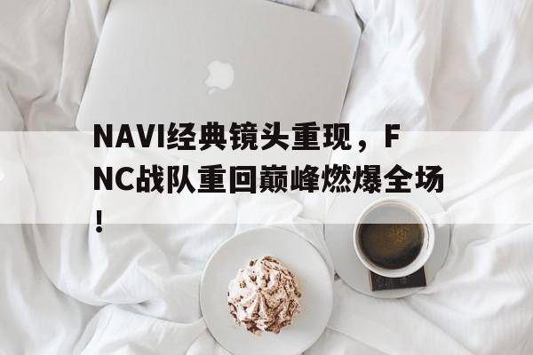乐鱼网站-NAVI经典镜头重现，FNC战队重回巅峰燃爆全场！